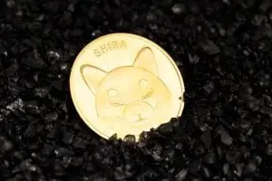 Shiba Inu meme coin